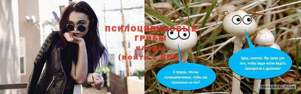 mdpv Нязепетровск