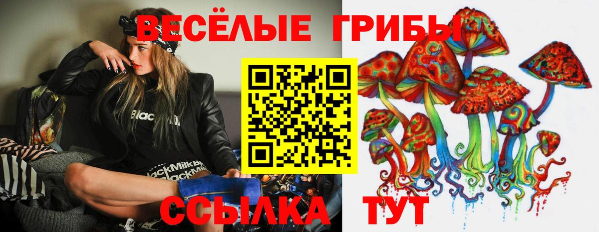 Псилоцибиновые грибы прущие грибы  Вход с VPN  Надым  Псилоцибиновые грибы Psilocybine cubensis 